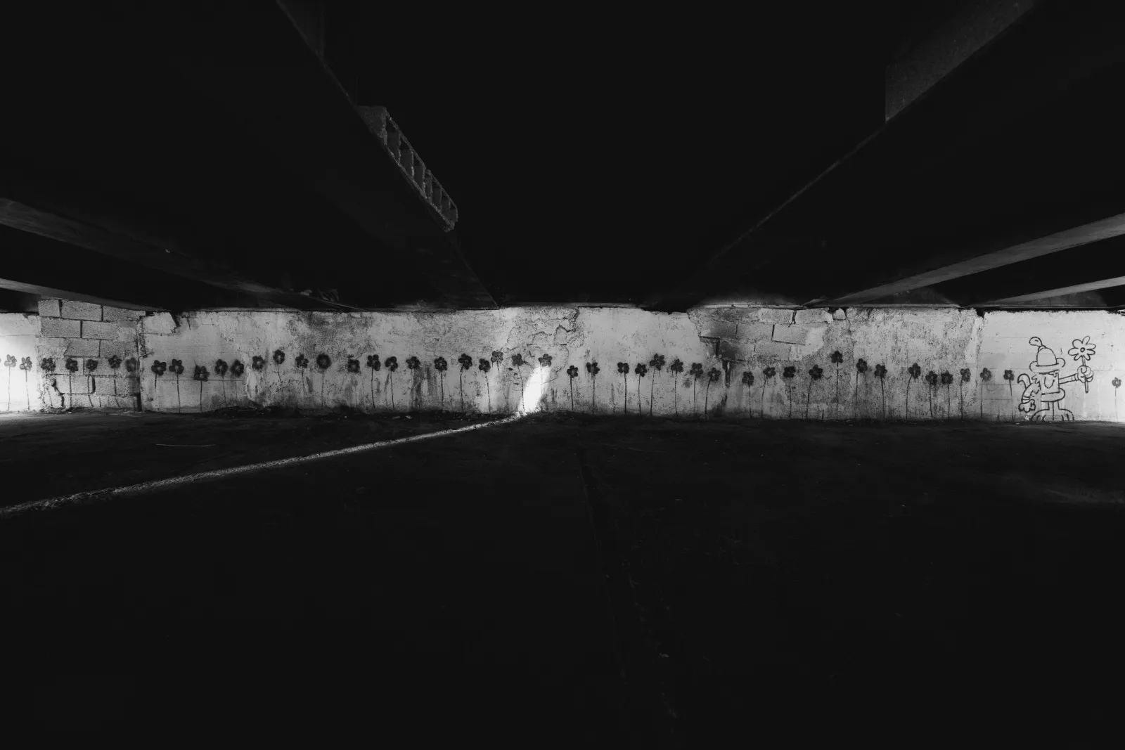 ffaaker — gallery 12