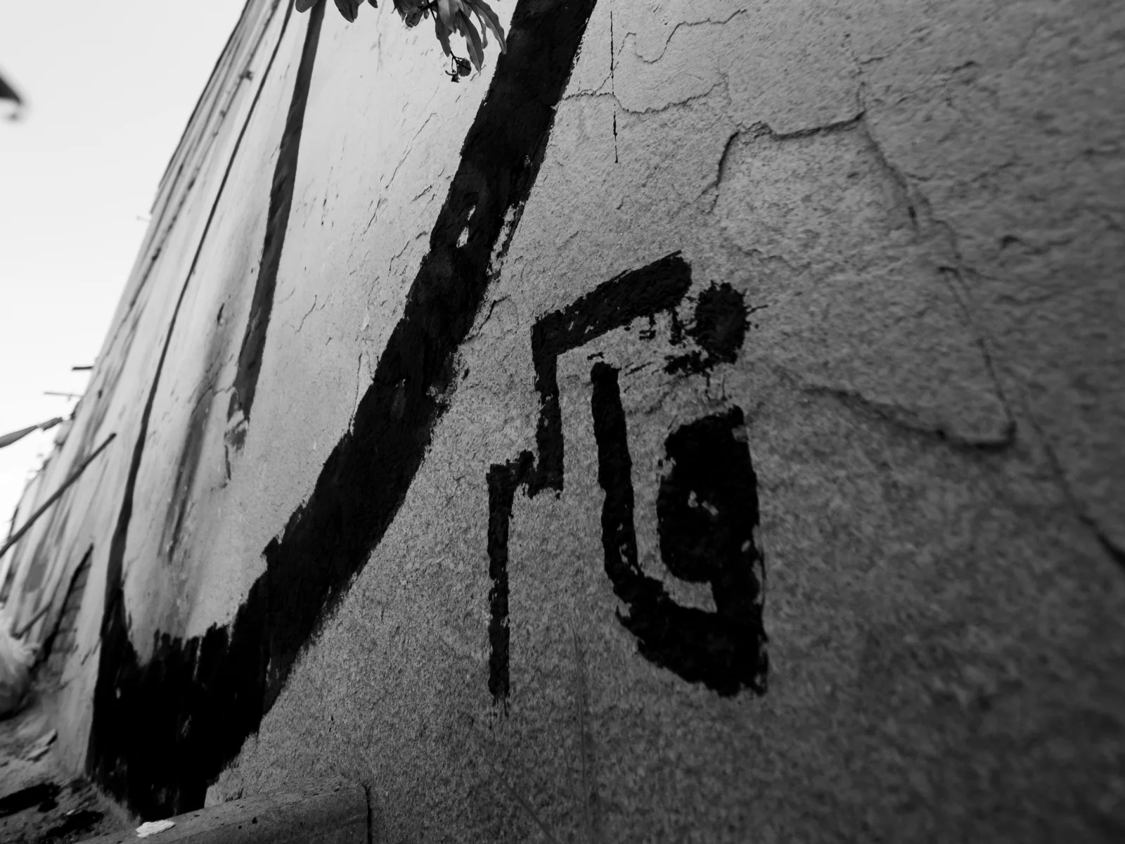 ffaaker — gallery 2