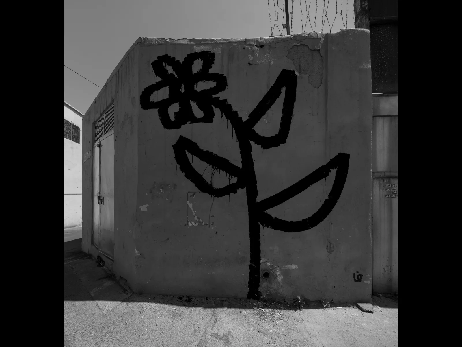 ffaaker — gallery 9