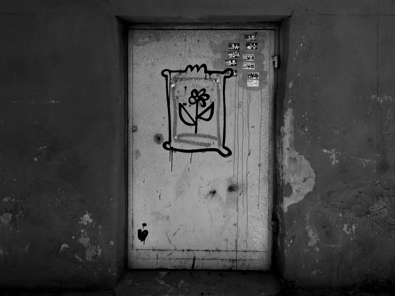 ffaaker — gallery 10