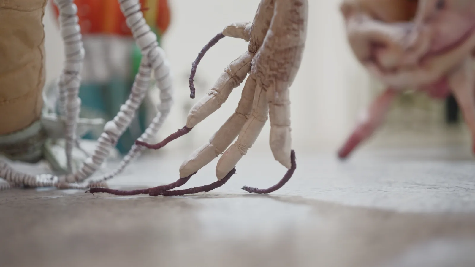 Parisa Taghipour — gallery 19